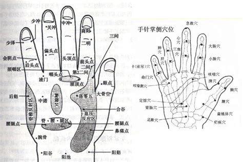 手 五行